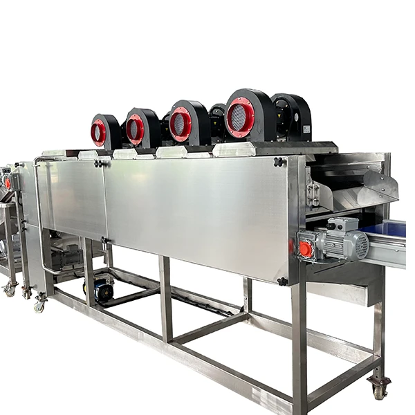 fruit pre-drying machine
